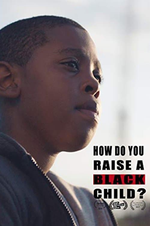 How Do You Raise a Black Child?のポスター