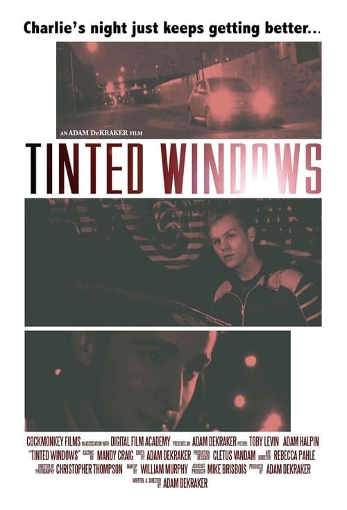 Tinted Windowsのポスター