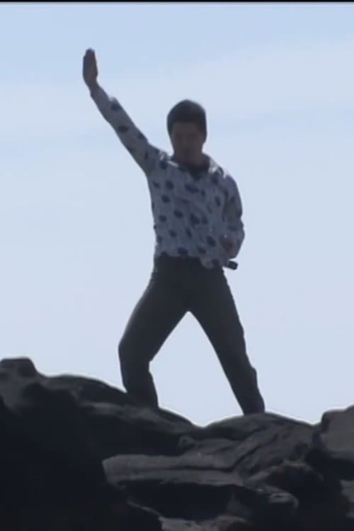 白石みのるの冒険のポスター