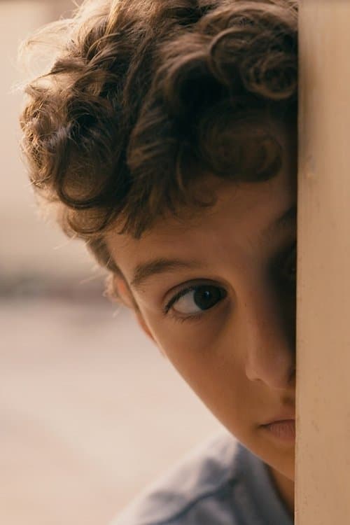 Seaweedのポスター