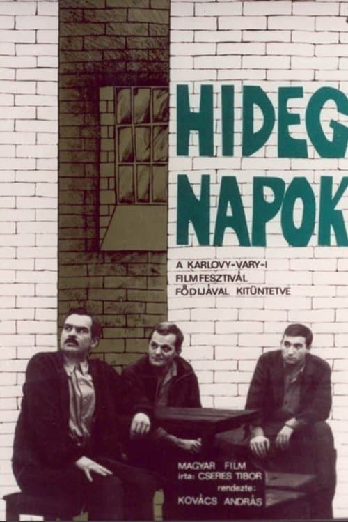 Hideg napokのポスター
