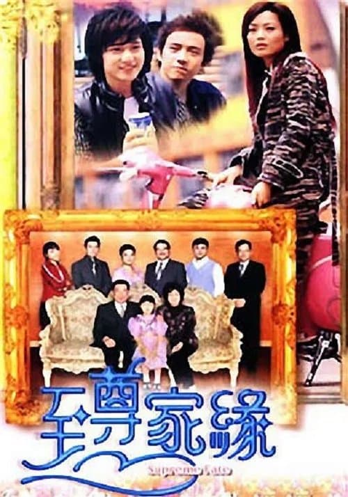 富豪海湾至尊家缘のポスター