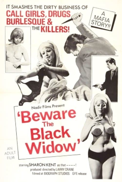 Beware the Black Widowのポスター