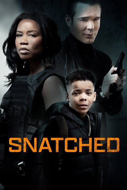 Snatchedのポスター