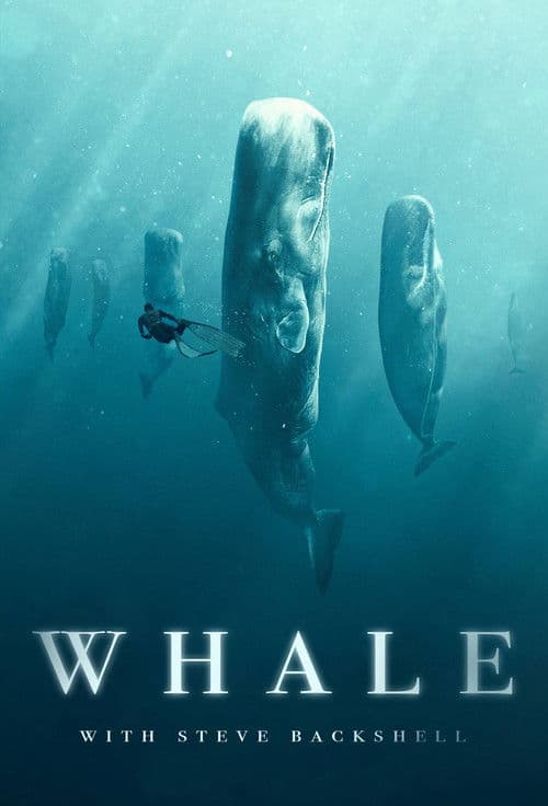 Whale with Steve Backshallのポスター