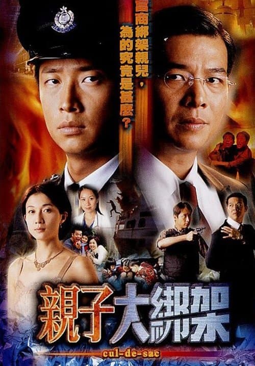 親子大綁架のポスター