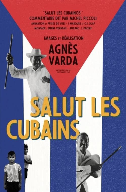 Salut les Cubainsのポスター