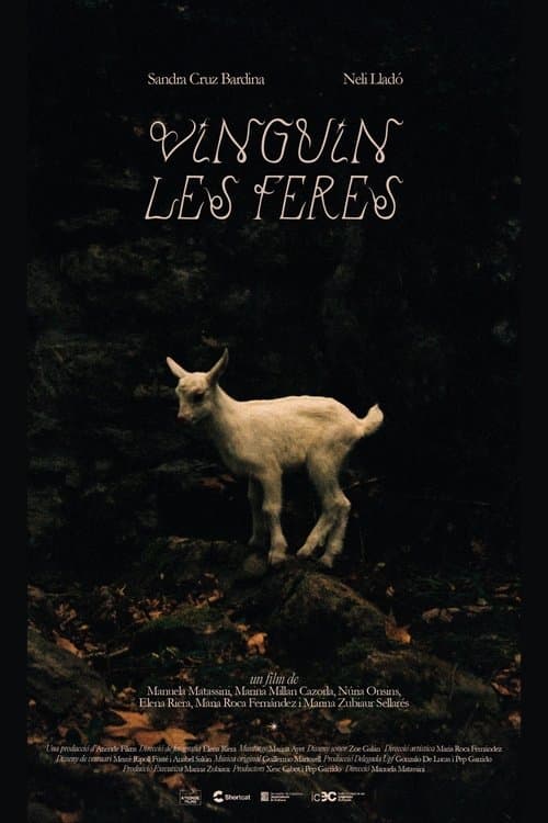 Vinguin les feresのポスター