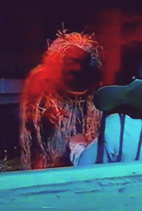 The Bottle Impのポスター