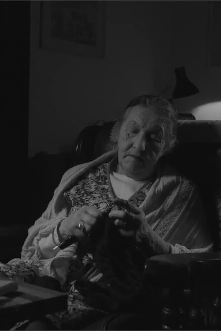 Musca Domesticaのポスター