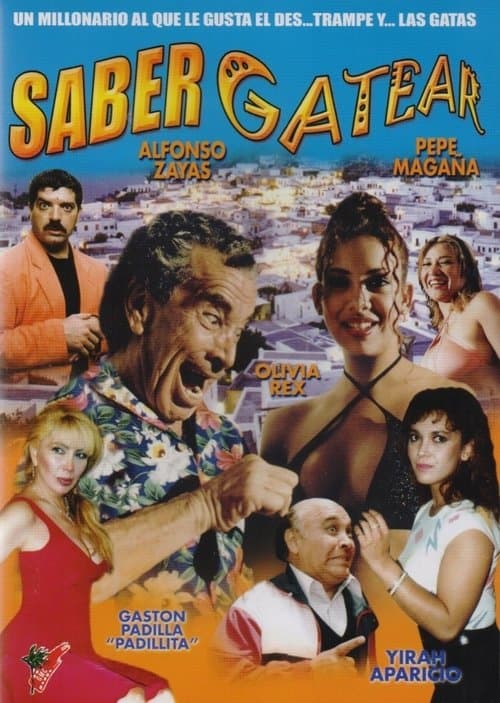 Saber gatearのポスター