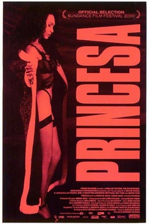 Princesaのポスター