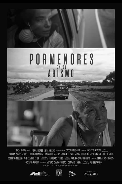 Pormenores en el abismoのポスター