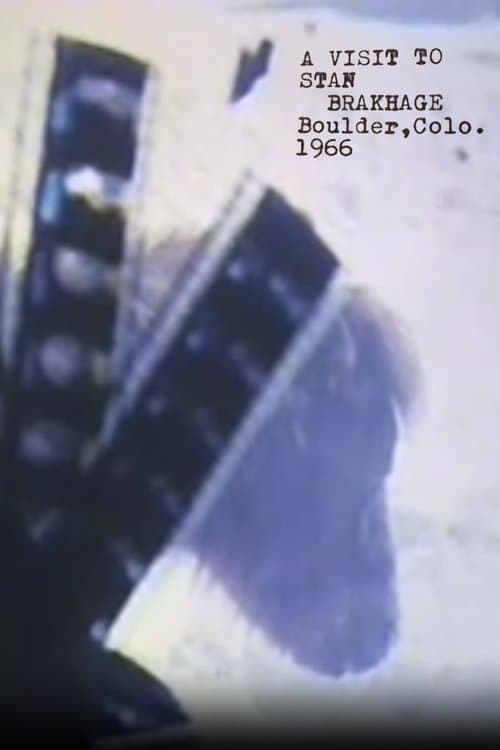 A Visit to Stan Brakhageのポスター
