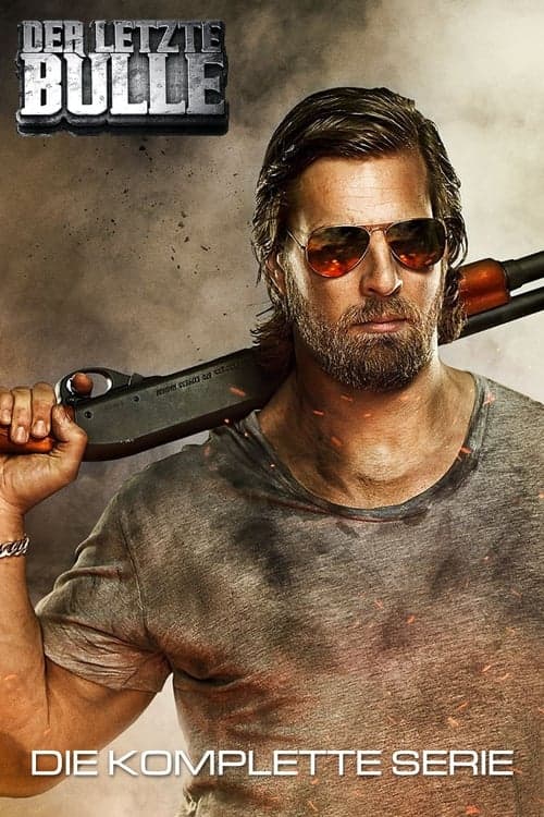 ザ・ラストコップのポスター