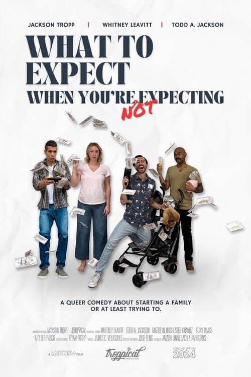 What to Expect When You're Not Expectingのポスター
