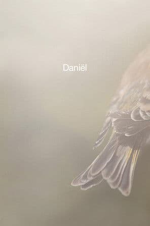 Daniëlのポスター