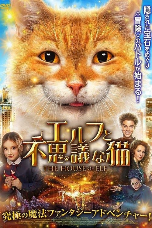 エルフと不思議な猫のポスター