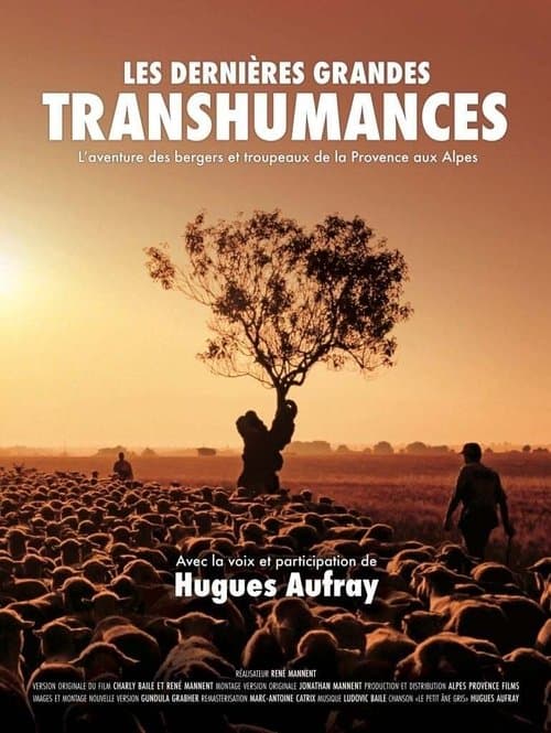 Les dernières grandes transhumancesのポスター