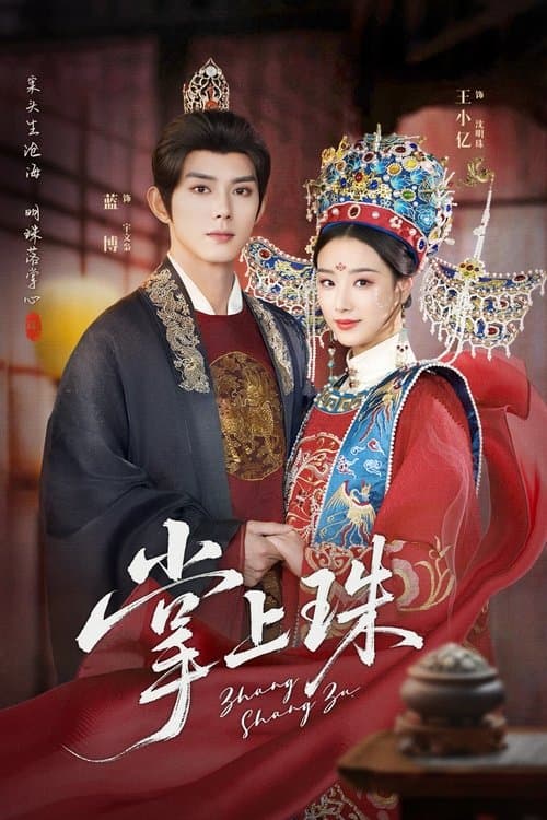 掌上珠のポスター