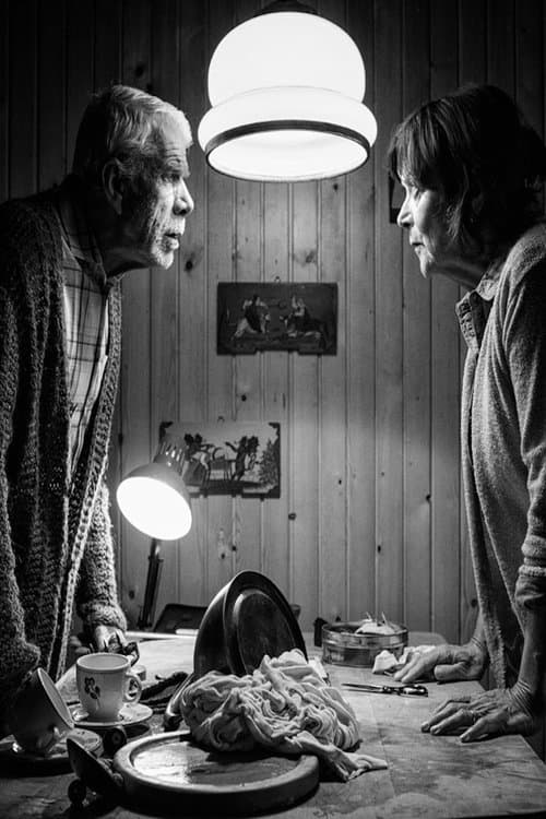 Ljubezen na strehi svetaのポスター