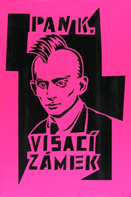 Visací zámek 1982-2007のポスター