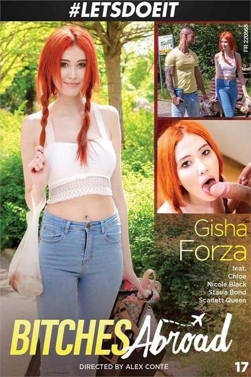 Bitches Abroad 17のポスター