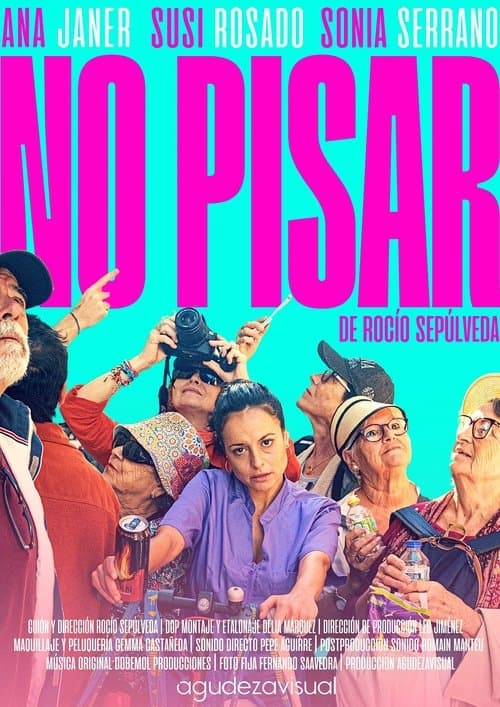 No pisarのポスター