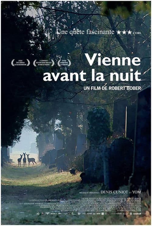 Vienne avant la nuitのポスター