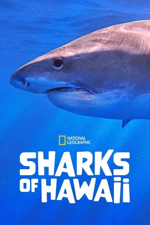 Sharks of Hawaiiのポスター