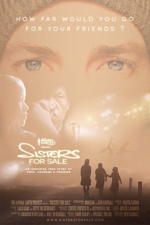 Sisters For Saleのポスター