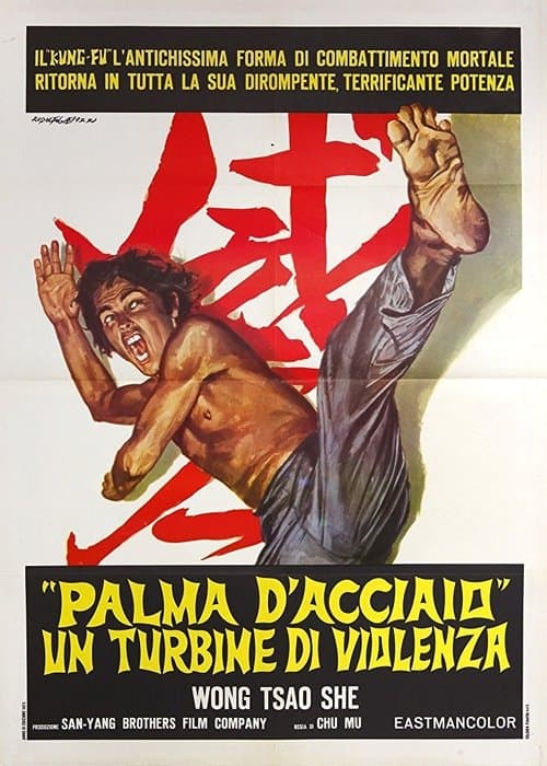 Wu di tie sha zhangのポスター