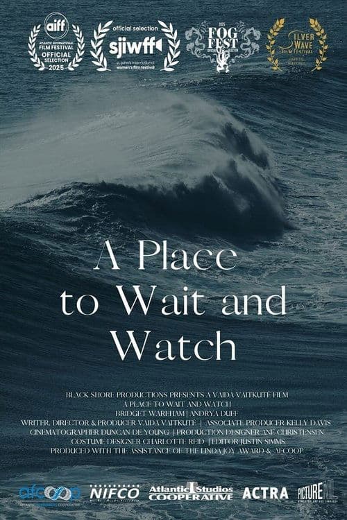 A Place to Wait and Watchのポスター