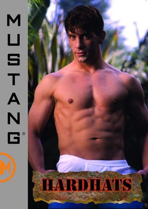 Hardhatsのポスター