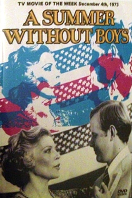 A Summer Without Boysのポスター