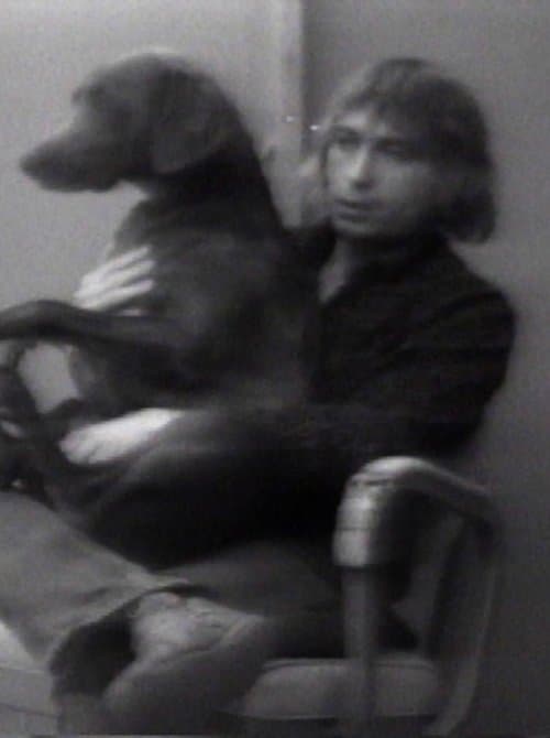 New & Used Car Salesmanのポスター