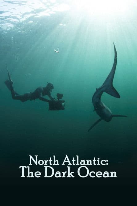 North Atlantic: The Dark Oceanのポスター
