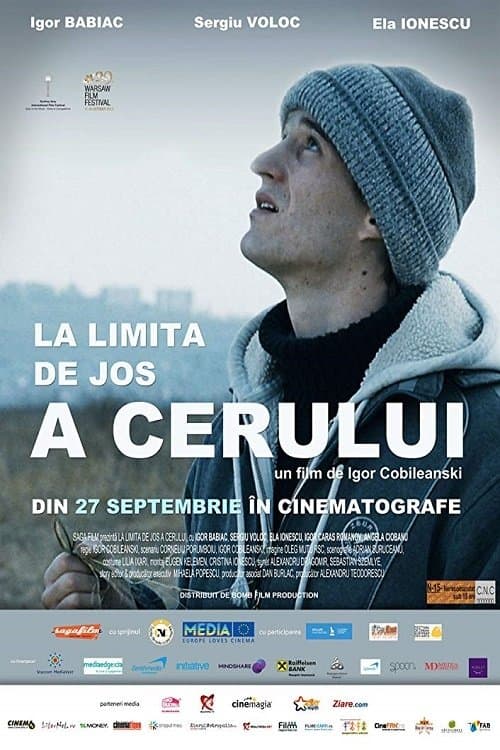 La limita de jos a ceruluiのポスター
