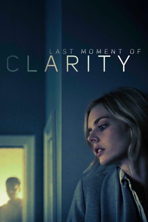 Last Moment of Clarityのポスター