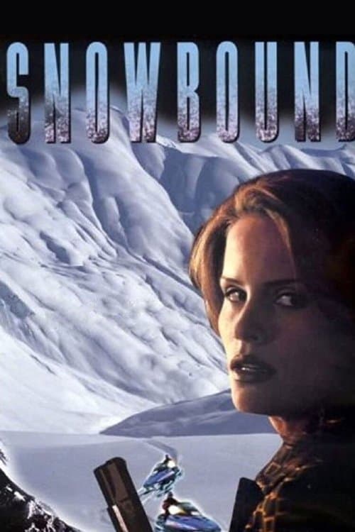 Snowboundのポスター