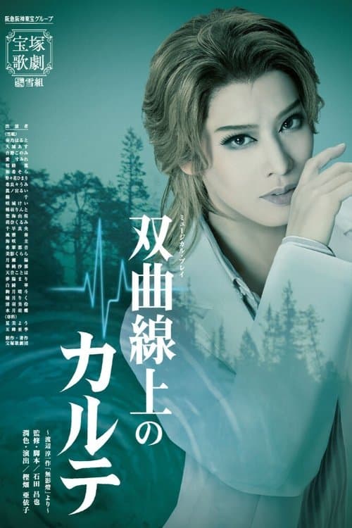 双曲線上のカルテのポスター