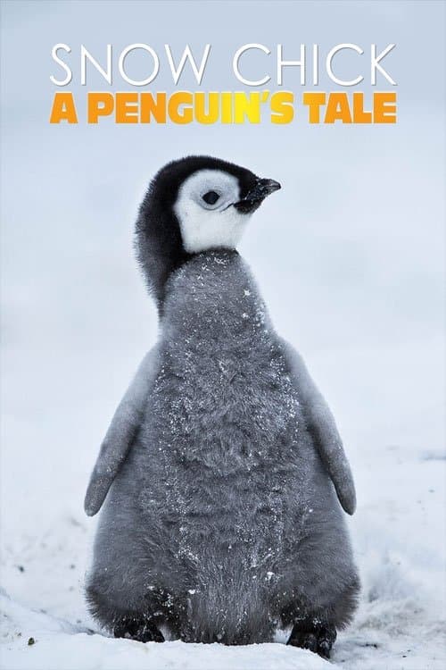 Snow Chick - A Penguin's Taleのポスター