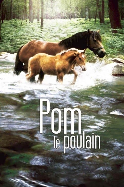 Pom, le poulainのポスター