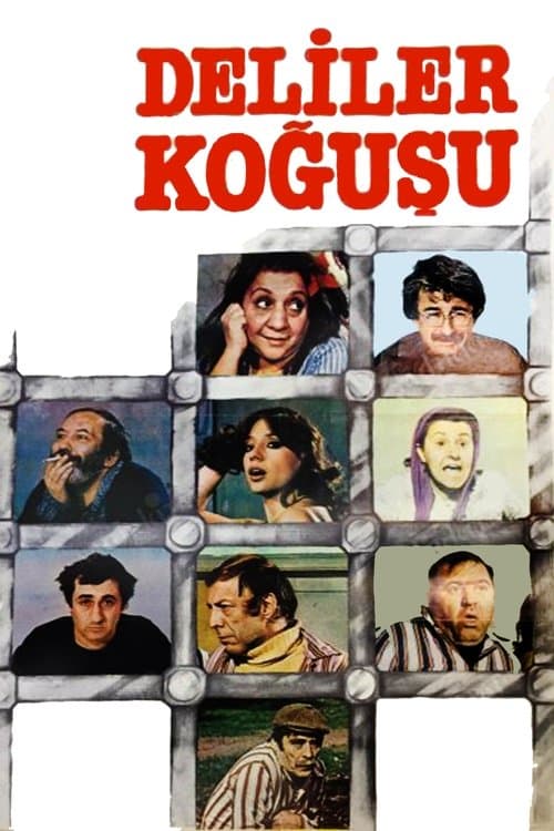 Deliler Koğuşuのポスター