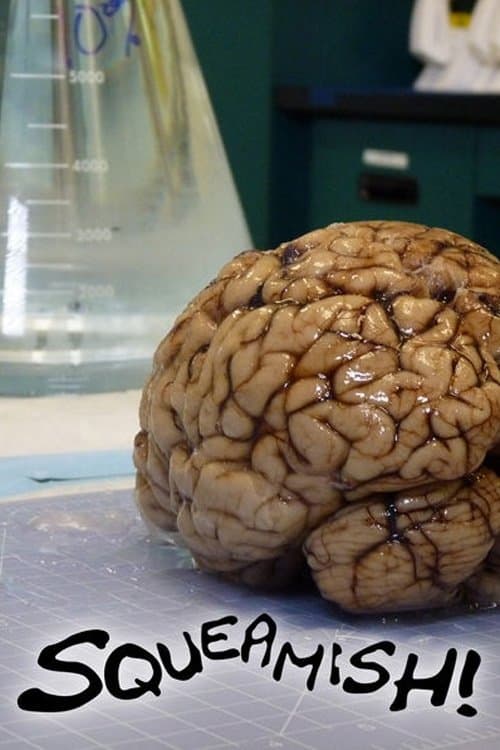 Squeamish!のポスター