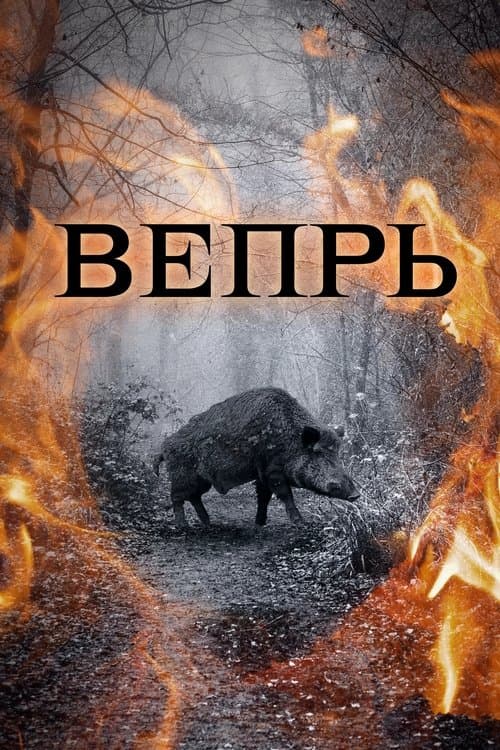 Вепрьのポスター