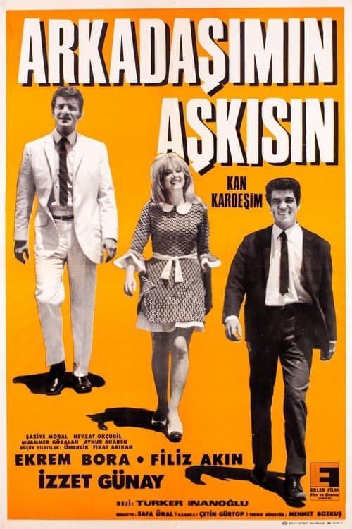 Arkadaşımın Aşkısınのポスター