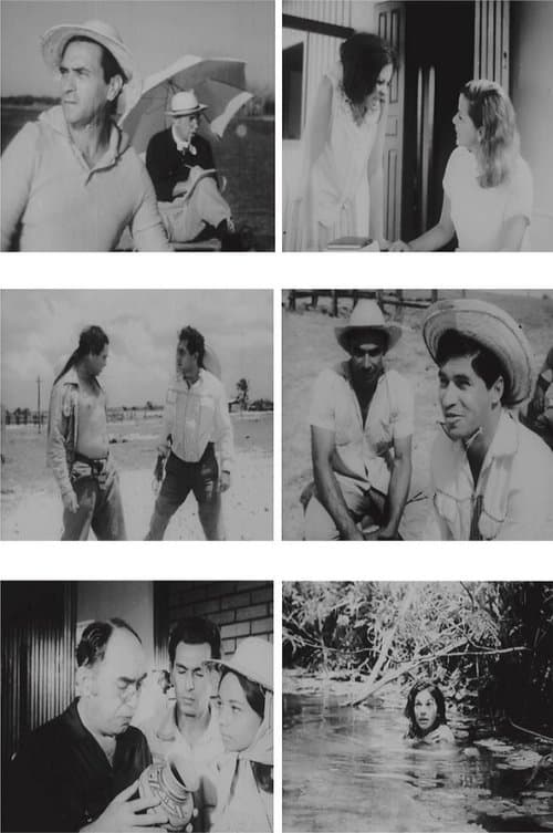 Marajó, Barreira do Marのポスター