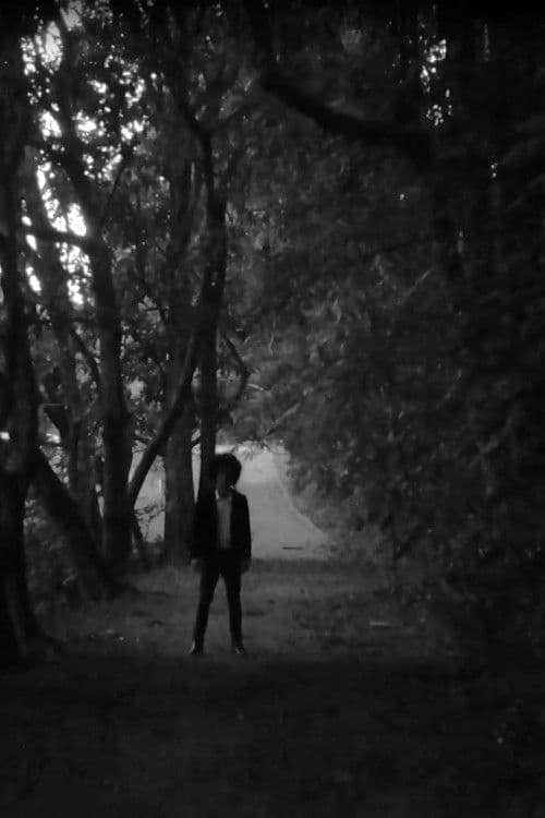 Naissius: Meu Bemのポスター