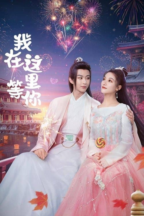 我在这里等你のポスター